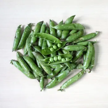 Green Peas  (38)-6895748-58846.webp